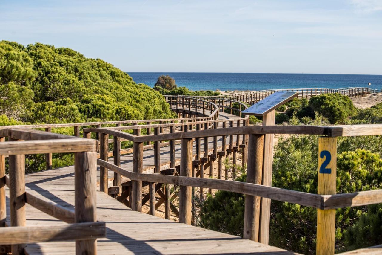 Vistas Al Mar Apartman Arenales del Sol Kültér fotó